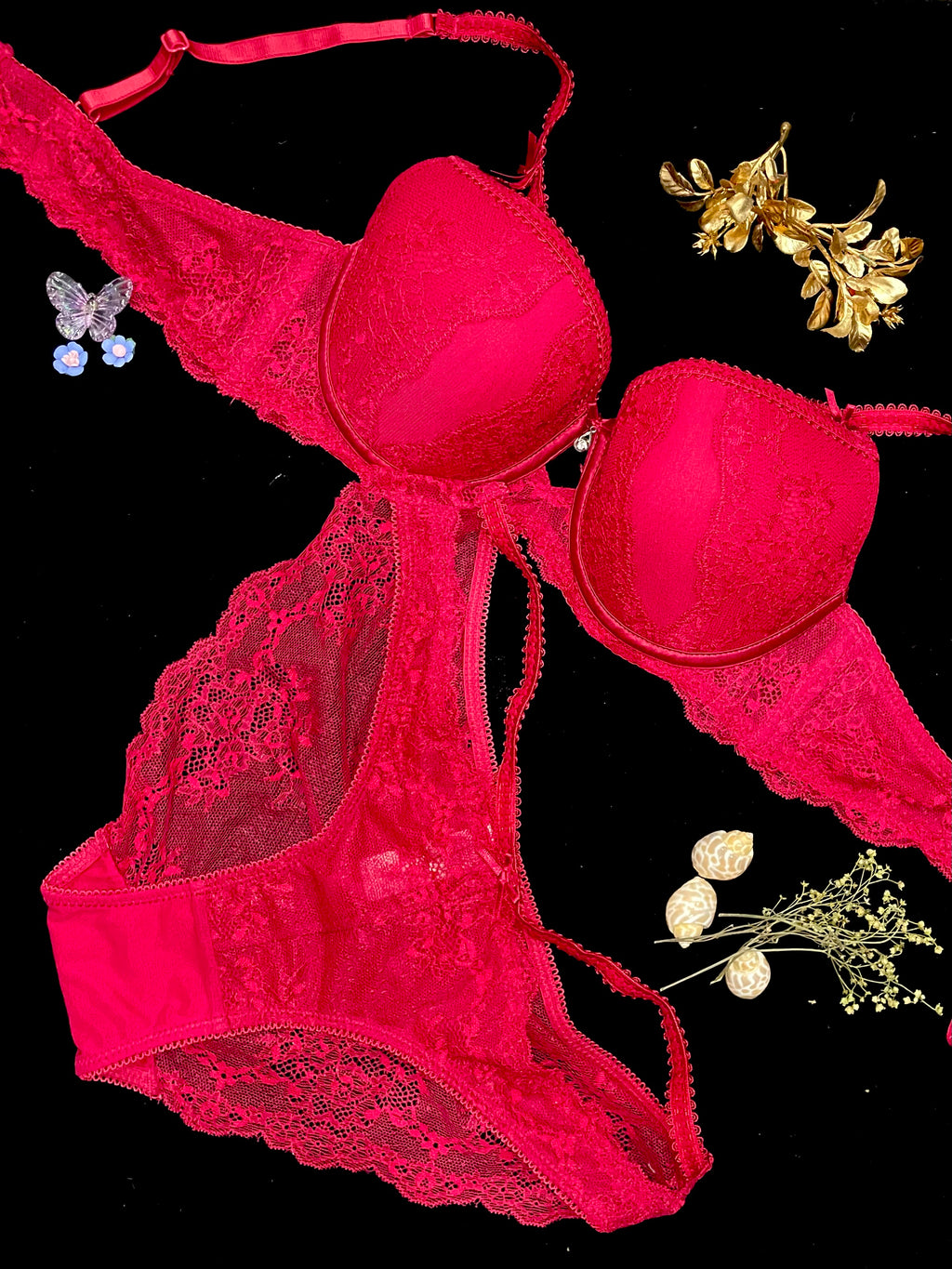 Laced Soft Padded Bra Set